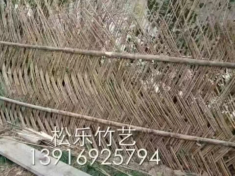 杨浦毛竹哪里好